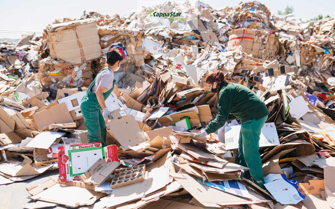 Companies and citizens can participate in the recycling of packaging waste – “Kappa Star Recycling” collected 110,000 tons of paper in 2021.